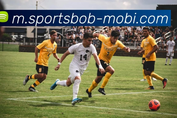 BOB体育APP 高清赛事图